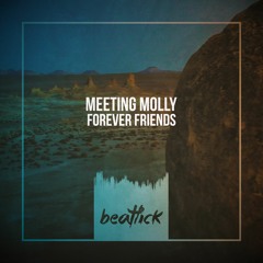 Meeting Molly - Forever Friends (Meeting Molly 4AM Mix Edit)
