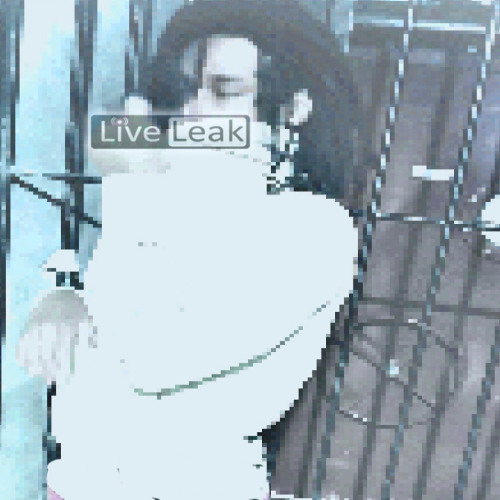 yungmxo \prod mahxll\