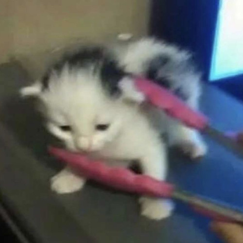 demo