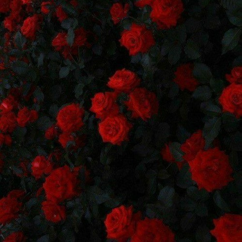 mac demarco - for the first time (slowed  reverb)