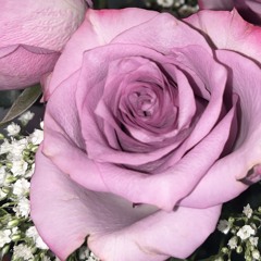 break into your house - 10:2:25