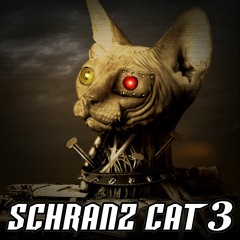 【Free Track】Schranz Cat 3