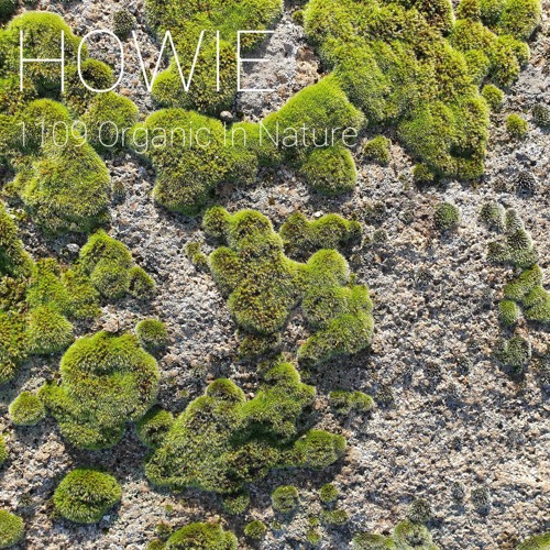 1109 Organic In Nature
