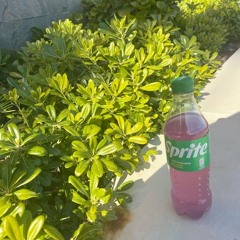 Talk2drank