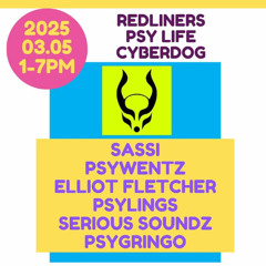 Serious Soundz - Cyberdog Redliners Set (The Set We Should Of Played)