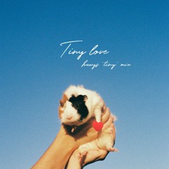 tiny love - Thịnh Suy (hawys tiny mix.)
