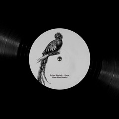 Dylan Sinclair - Open [Dom Dias Remix]