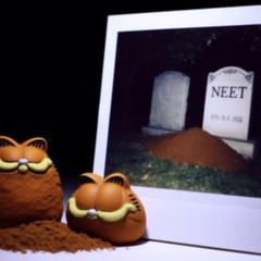 Fried by Fluoride - Rest In Peace (feat. NEET)