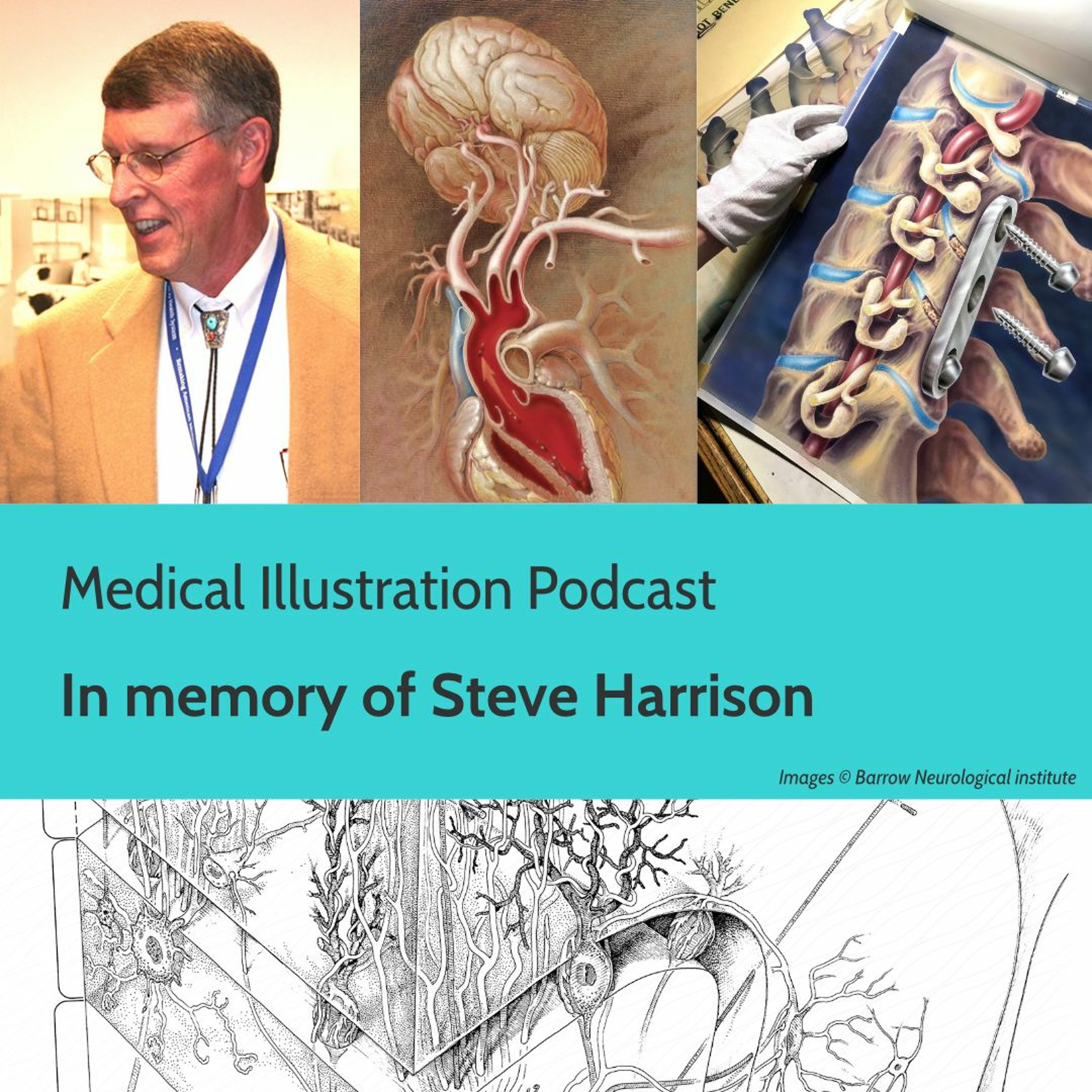 Medical Illustration Podcast