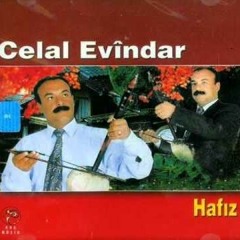 Celal Evindar Bajo