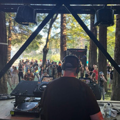 Stoffa Taniwhas Den 2025 Progressive House Set