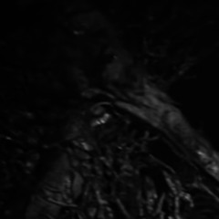 𝔇𝔳𝔯𝔨 - S2E5