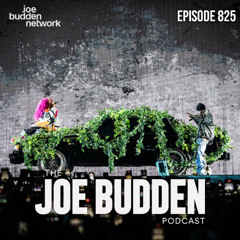 "Episode 825 | "K"
