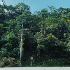 流動 (Jolst)