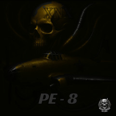 PE - 8