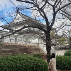 ดาว(Star) - Paradox