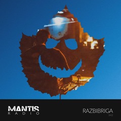Mantis Radio 342 - Razbibriga