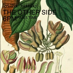 The Other Side 42, Lyl Radio 02/03/21