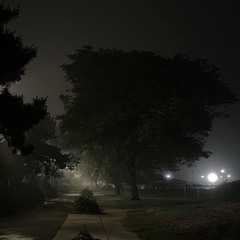 in the nite