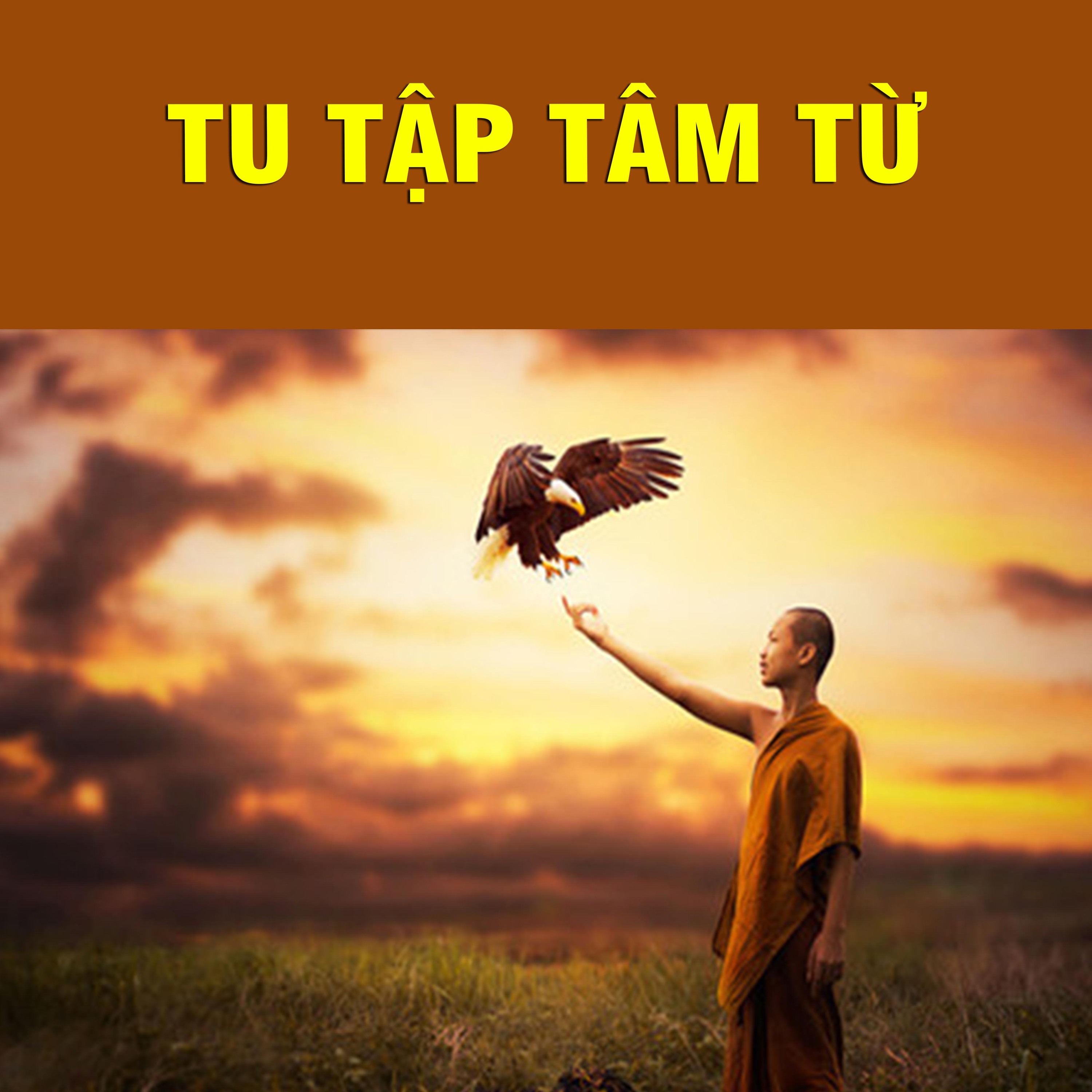 Thích Bảo Nguyên