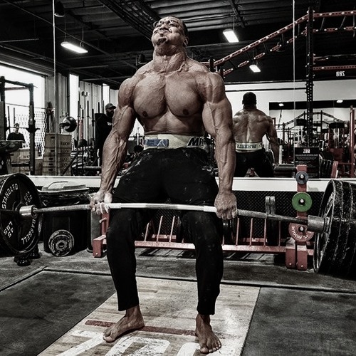 Collar of Truth x Larry Wheels