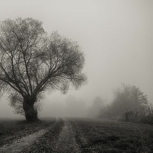 Dark Way