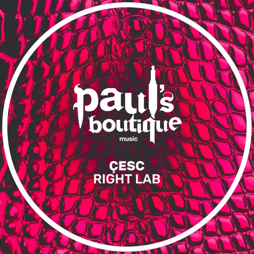 Çesc - Right Lab