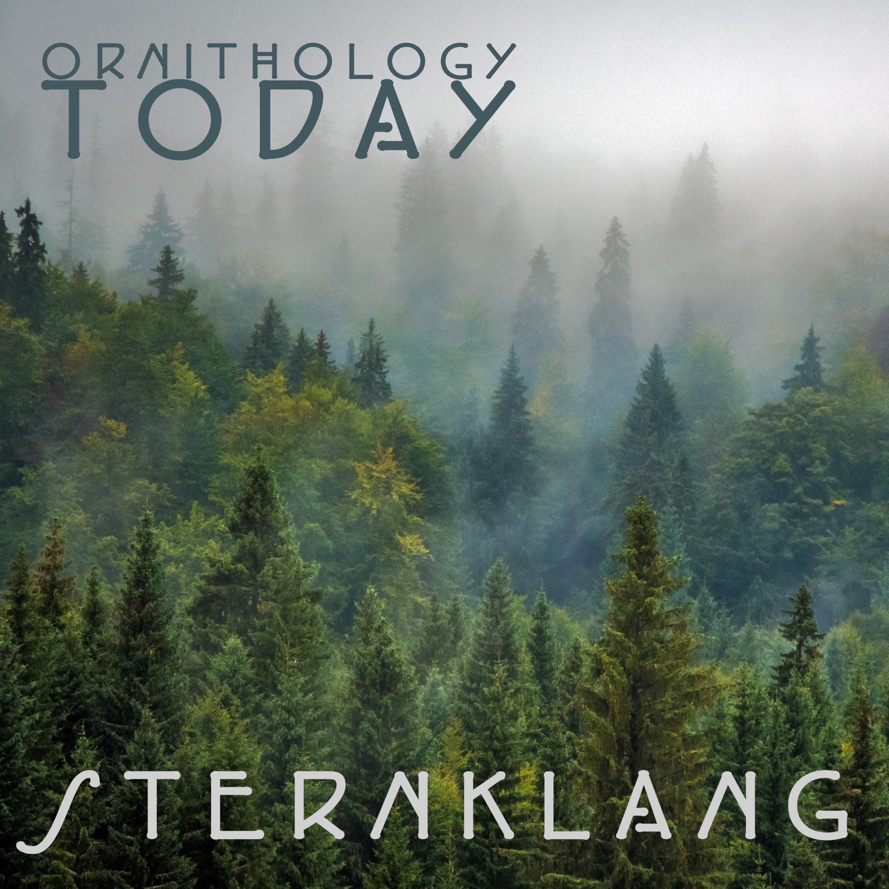 Sternklang