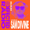 Defected Radio Show Hosted by Sam Divine 22.11.24 DJ mix artwork - Electronic music tracklist cover image