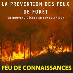 La prévention des feux de forêt...un nouveau décret en consultation