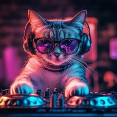 DJ CAT #1