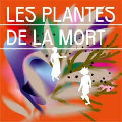 #01 -  L’ IF - Série Les plantes de la mort