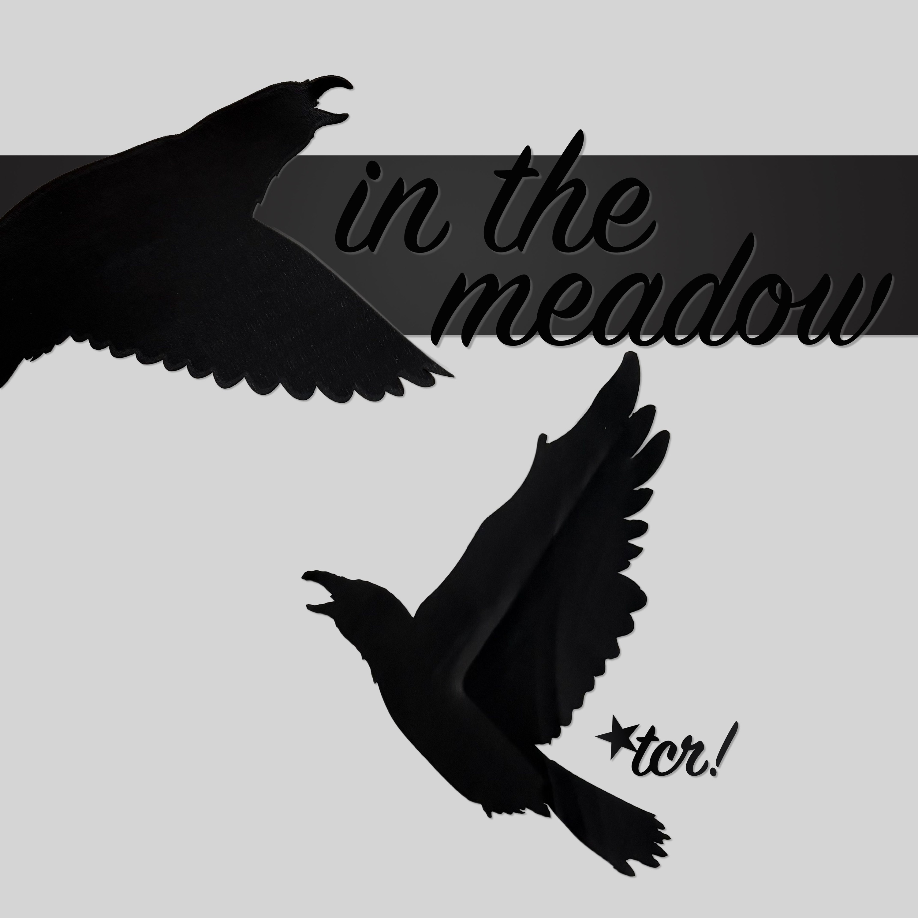 in the meadow episode artwork