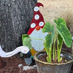 Gnome Legacy
