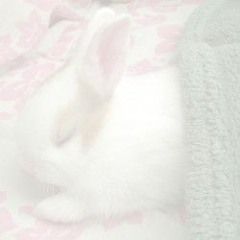 𝙞𝙣𝙨𝙩𝙧𝙪𝙢𝙚𝙣𝙩𝙖𝙡𝙨 ♡