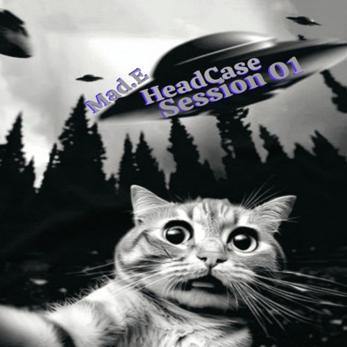 HeadCase Session 01