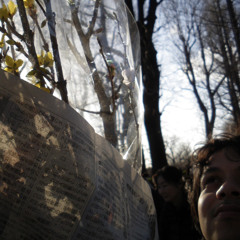 Pastoral live @dom 1/2