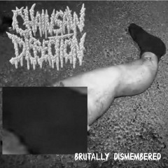 CHAINSAW DISSECTION - Barbaric Annihilation