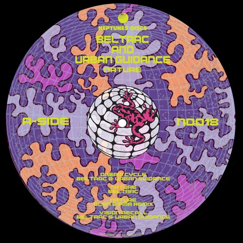 PREMIERE: Nature - Beltrac [Neptune Discs]