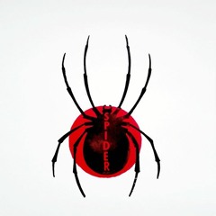 Spider - Spiderlili