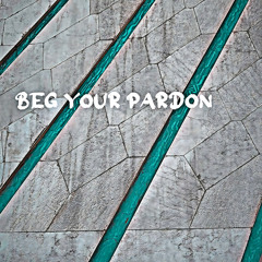 Beg Your Pardon