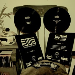 2013 -Sommer im Wald