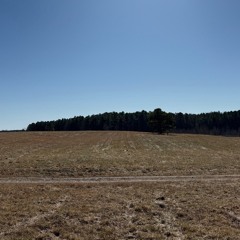 30 more bandlab version