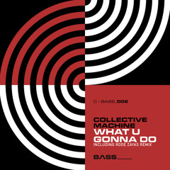 Collective Machine - What U Gonna Do (Rode Zayas Remix)