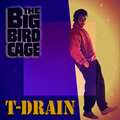 The Big Bird Cage - T-Drain