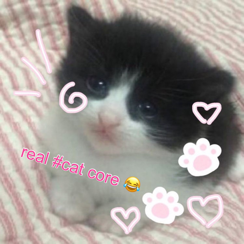 real #cat core w/ thorns (beauxlol)