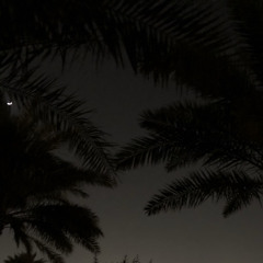 ‎⁨عبدالرحمن مسعد سورة مريم صوت عذبّ(يساعد على النوم)