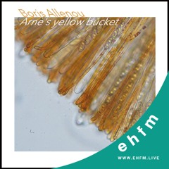 Arne's Yellow Bucket 26 w/ EMAAA (Emma Seegoolam) & Boris Allenou - 12.07.24