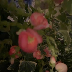 i wish i didn't miss you (hard times version) [feist]