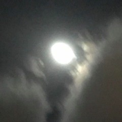 What I've Always Wanted